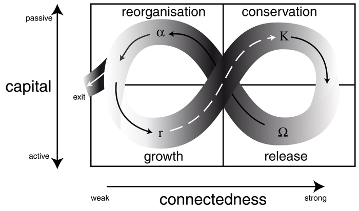 resilience adaptive cycle