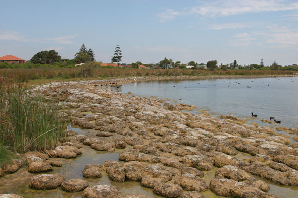 Lake Richmond microbialites