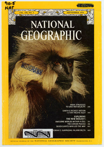 national geographic monkey