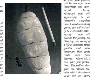 mother and matchstick