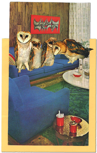 owls and sofa
