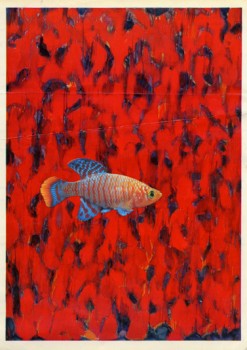 Abstract expressionist fish