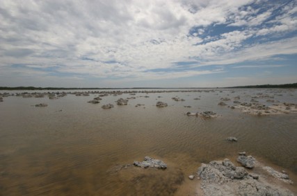 stone piles and microbe rich salty water