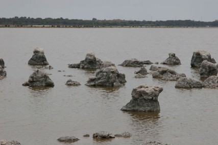 Lake Walyungup sculpture field