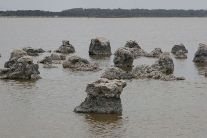 Lake Walyungup sculpture field