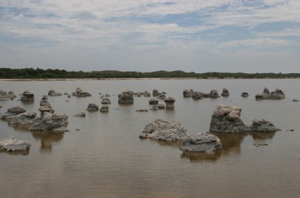 Lake Walyungup sculpture field