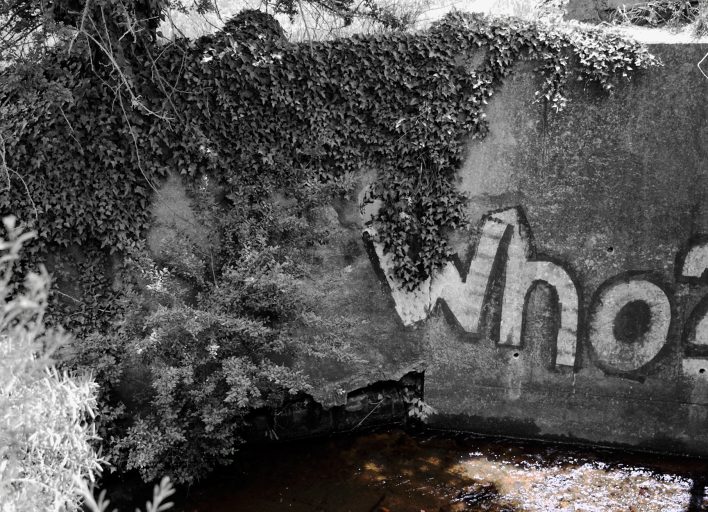 a mostly black and white image with a graffitied word who with a question mark cut off. The scene appears to be lookind down at a wall with a body of brown water at the bottom.